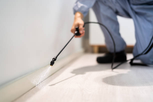 Bed Bug Pre-Treatment Preparation Assessment in De Leon