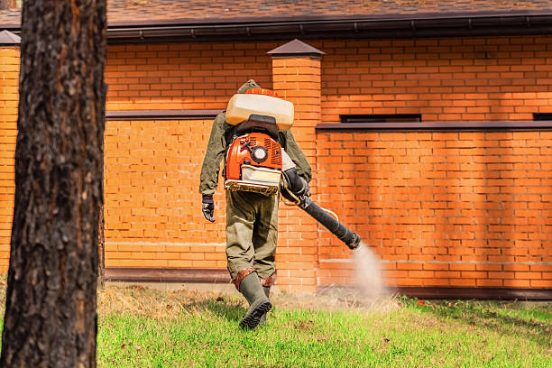 Bed Bug Clearance Verification and Documentation in De Leon